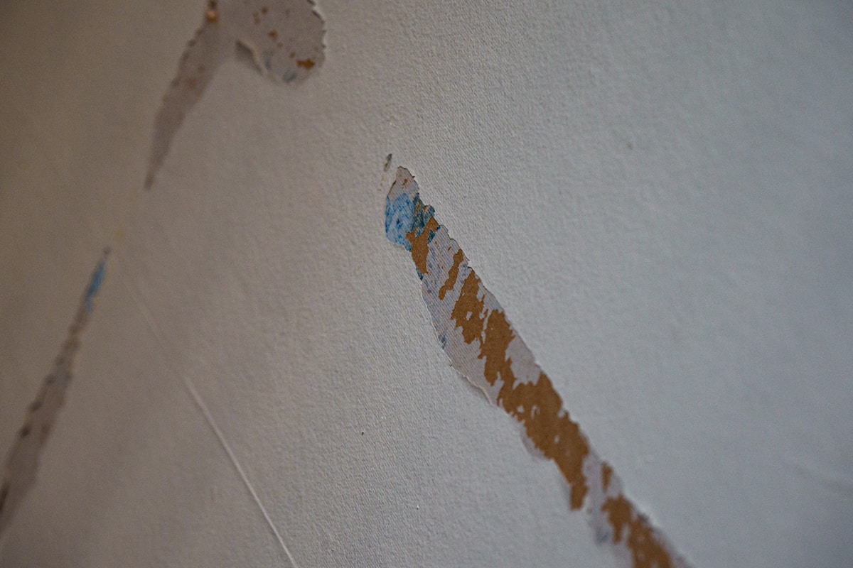 Mold Remediation service in Herriman, UT
